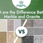 What are the Difference Between